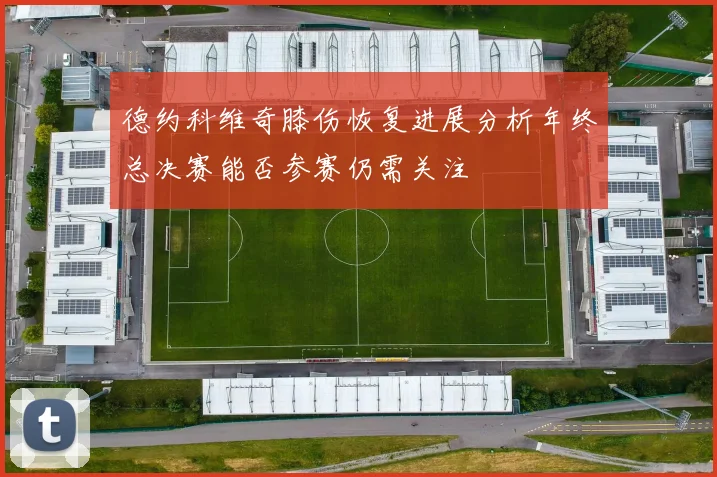 德约科维奇膝伤恢复进展分析年终总决赛能否参赛仍需关注