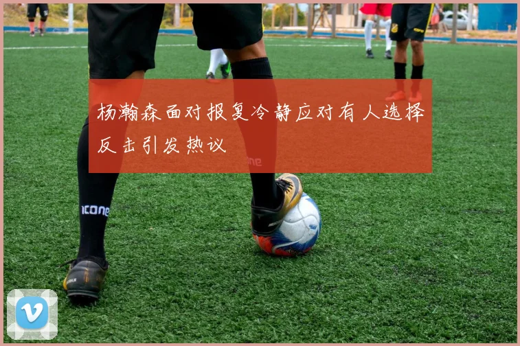 杨瀚森面对报复冷静应对有人选择反击引发热议